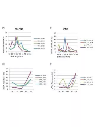 sRNA Abundance (%)