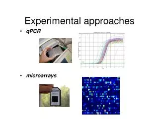 Experimental approaches