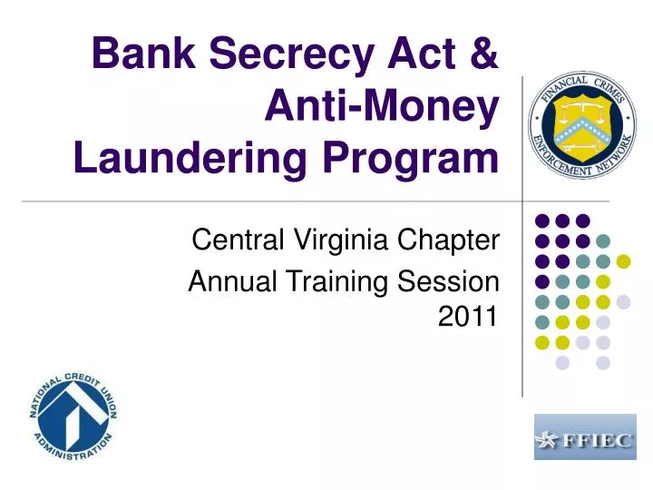 bank secrecy act anti money laundering program