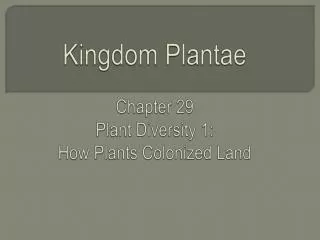 Kingdom Plantae Chapter 29 Plant Diversity 1: How Plants Colonized Land