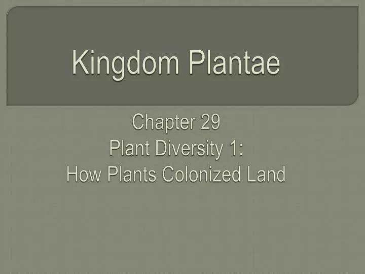 kingdom plantae chapter 29 plant diversity 1 how plants colonized land