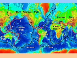 Pacific Plate