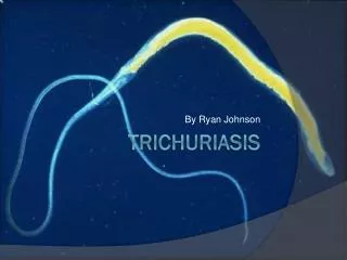 Trichuriasis