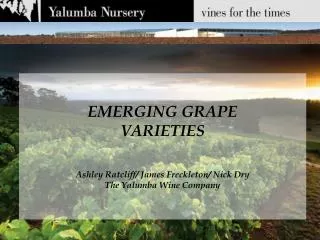 EMERGING GRAPE VARIETIES Ashley Ratcliff/ James Freckleton/ Nick Dry The Yalumba Wine Company