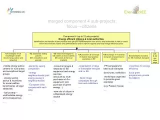 merged component 4 sub-projects; focus?citizens