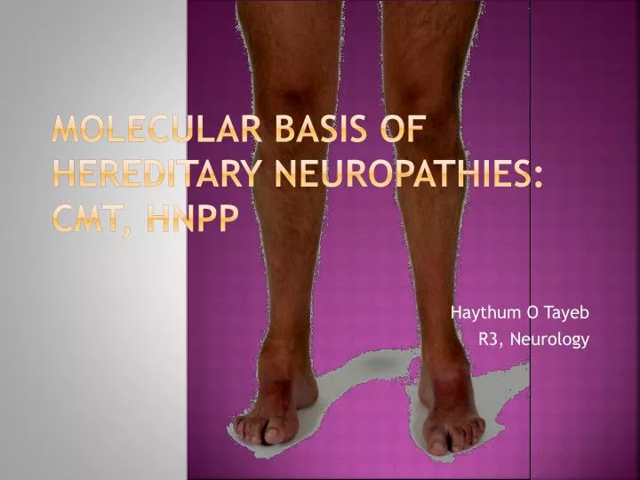 molecular basis of hereditary neuropathies cmt hnpp