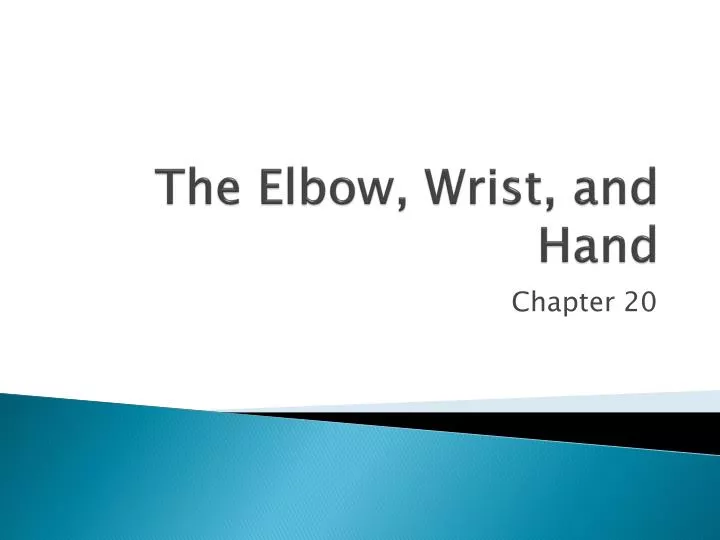 the elbow wrist and hand
