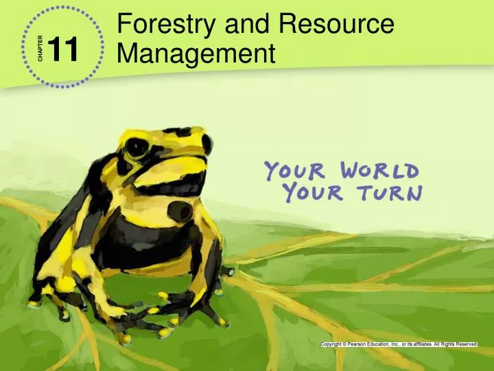 forestry and resource management