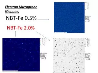 NBT-Fe 0.5%