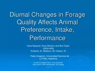 Diurnal Changes in Forage Quality Affects Animal Preference, Intake, Performance
