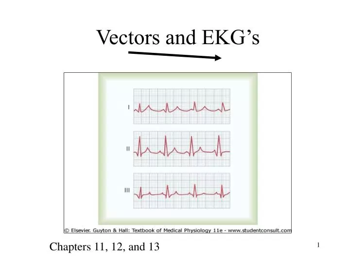 vectors and ekg s