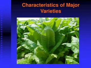 Characteristics of Major Varieties