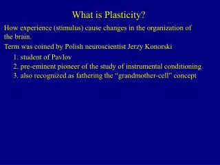 What is Plasticity?