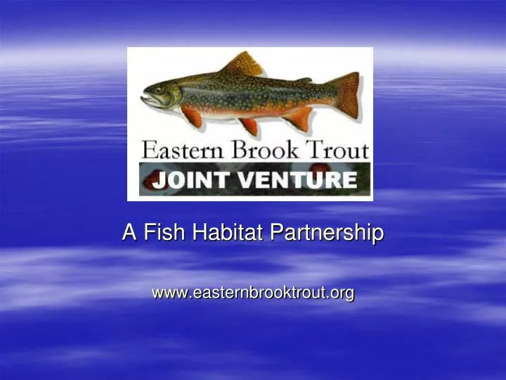 a fish habitat partnership www easternbrooktrout org