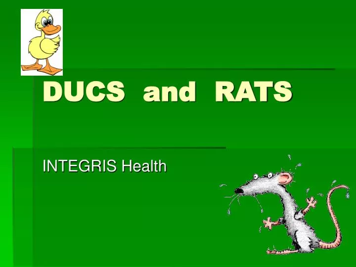 ducs and rats