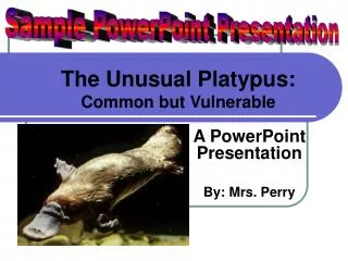 The Unusual Platypus: Common but Vulnerable