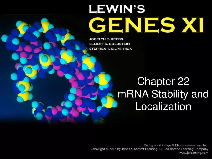 chapter 22 m rna stability and localization