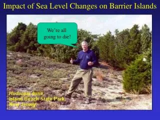 Impact of Sea Level Changes on Barrier Islands
