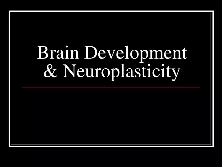 brain development neuroplasticity