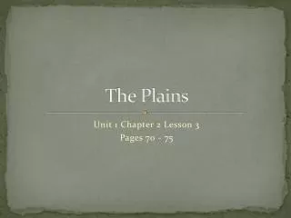 The Plains