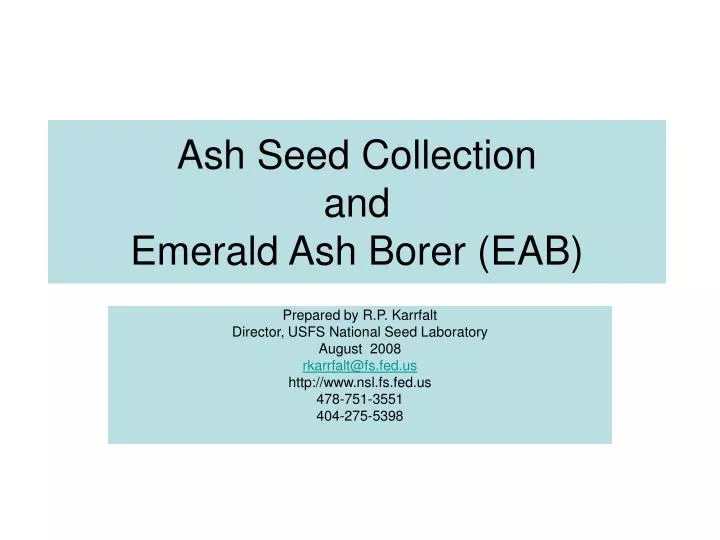 ash seed collection and emerald ash borer eab
