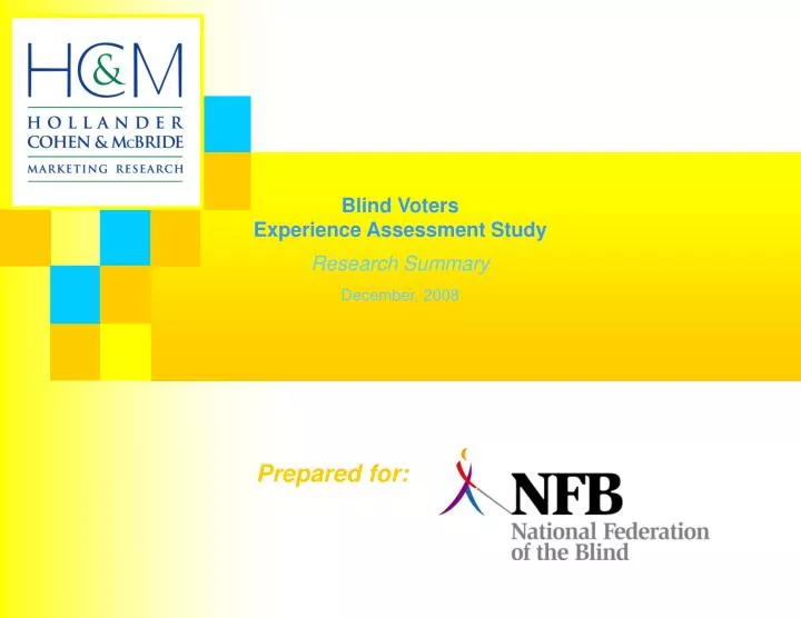 blind voters experience assessment study research summary december 2008