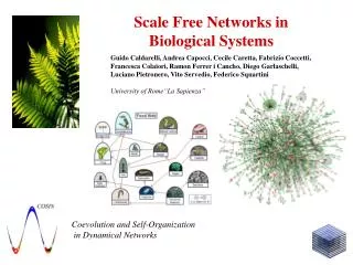 Scale Free Networks in Biological Systems