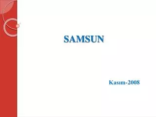 samsun
