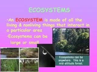 ECOSYSTEMS