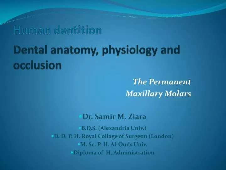human dentition dental anatomy physiology and occlusion