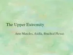 The Upper Extremity - slide 1