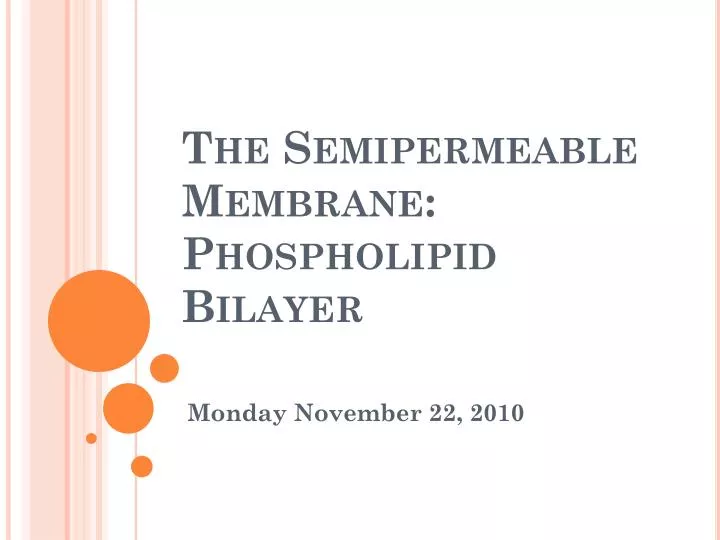 the semipermeable membrane phospholipid bilayer