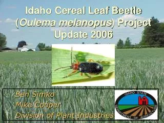 Idaho Cereal Leaf Beetle ( Oulema melanopus ) Project Update 2006
