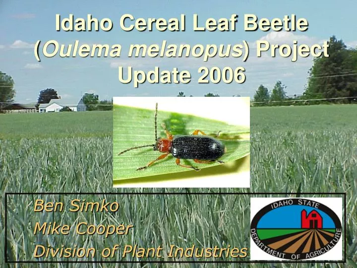 idaho cereal leaf beetle oulema melanopus project update 2006