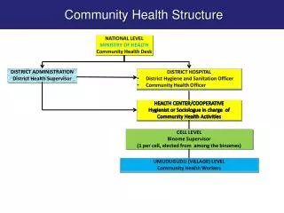NATIONAL LEVEL MINISTRY OF HEALTH Community Health Desk