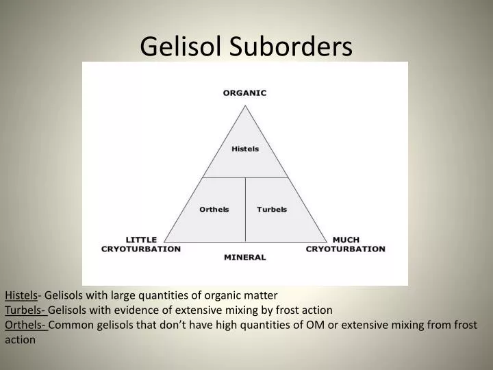 gelisol suborders