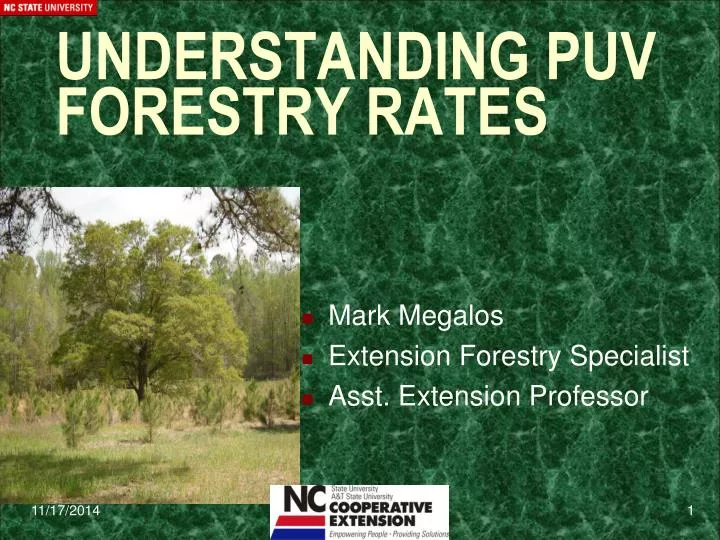 understanding puv forestry rates