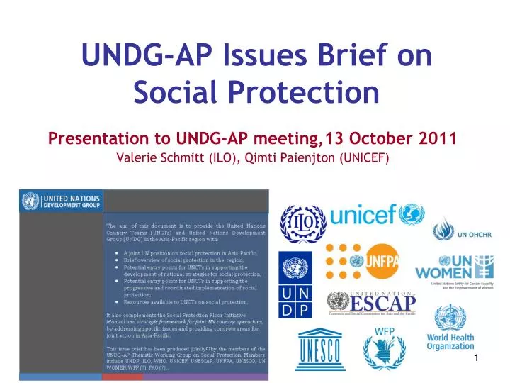 undg ap issues brief on social protection