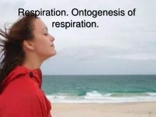 Respiration. Ontogenesis of respiration.