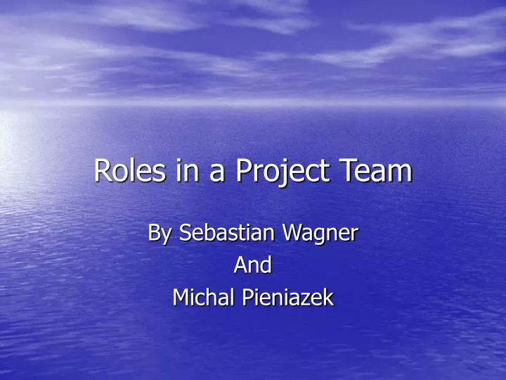 roles in a project team