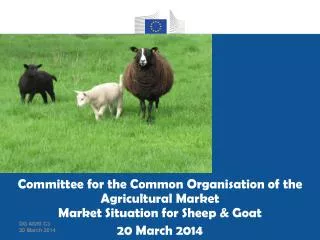 EU import of sheep &amp; goat meat and live animals Trade figures (Comext)
