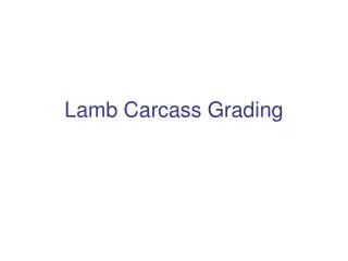 Lamb Carcass Grading