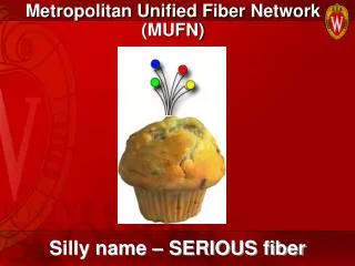 Metropolitan Unified Fiber Network (MUFN)