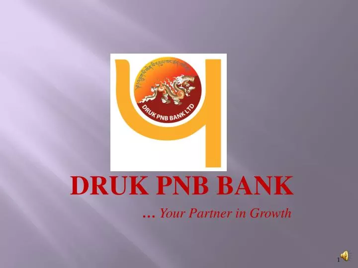 druk pnb bank your partner in growth