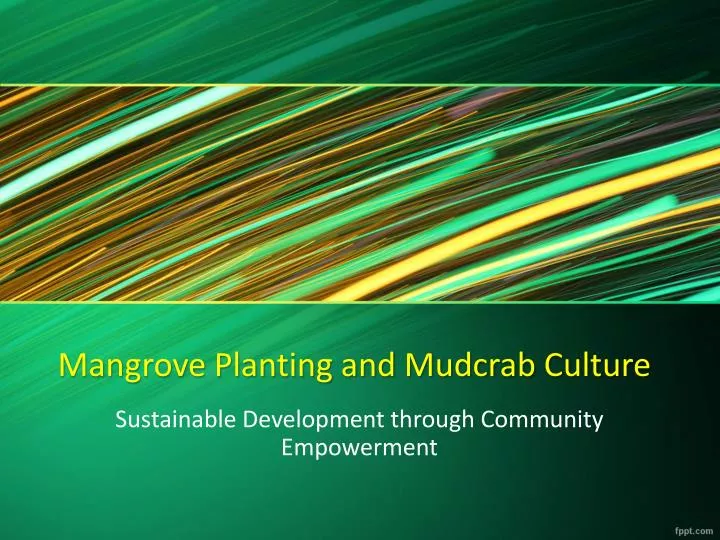 mangrove planting and mudcrab culture