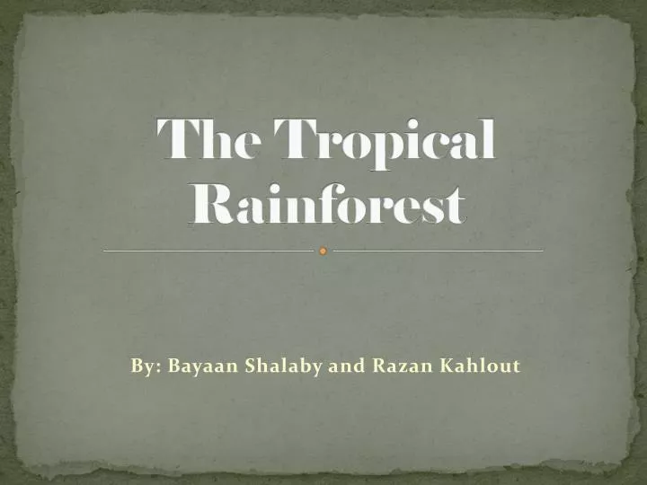 the tropical rainforest