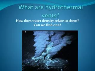 What are hydrothermal vents?