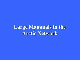 Large Mammals in the Arctic Network