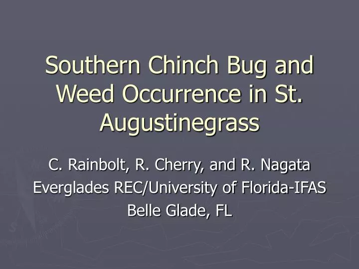 southern chinch bug and weed occurrence in st augustinegrass