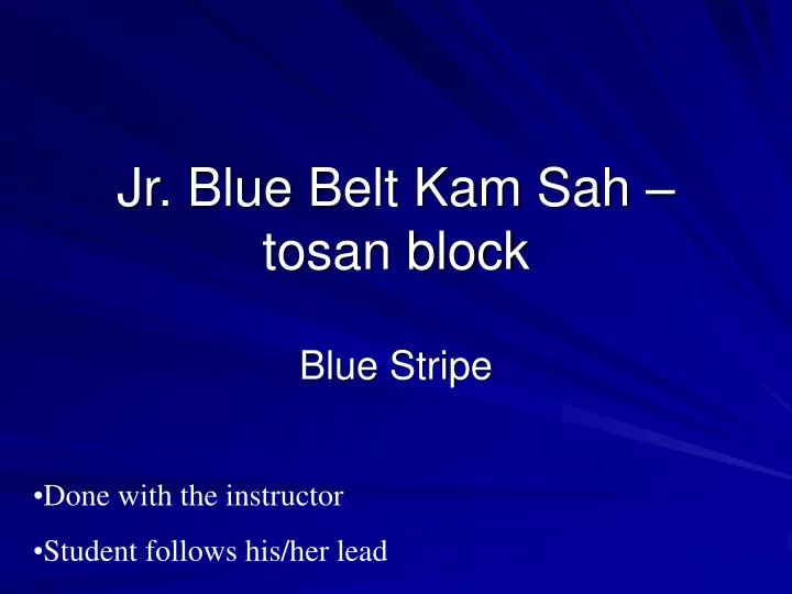 jr blue belt kam sah tosan block